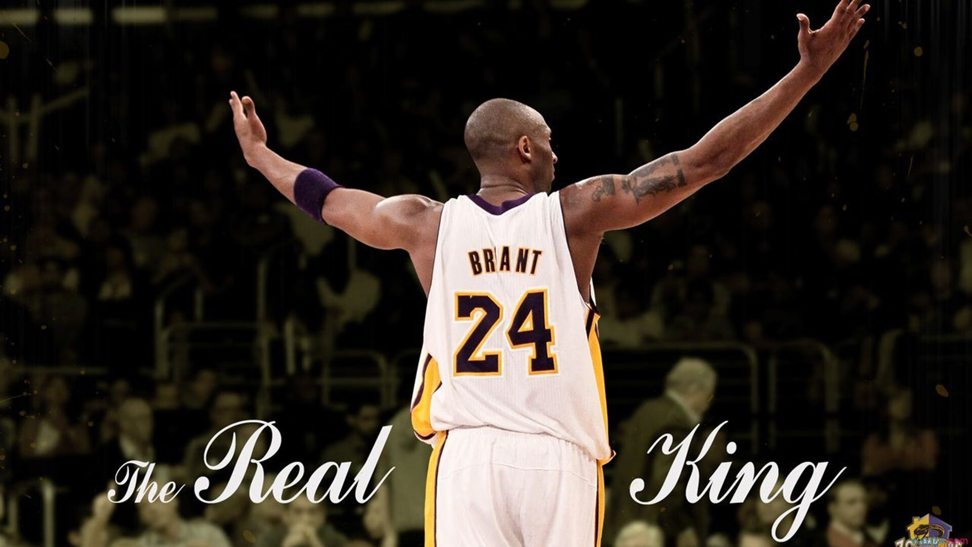 猛龙踏平森林狼,乔治如何用节奏掌控艺术改写比赛基因?